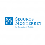 Marcas de Seguros-03